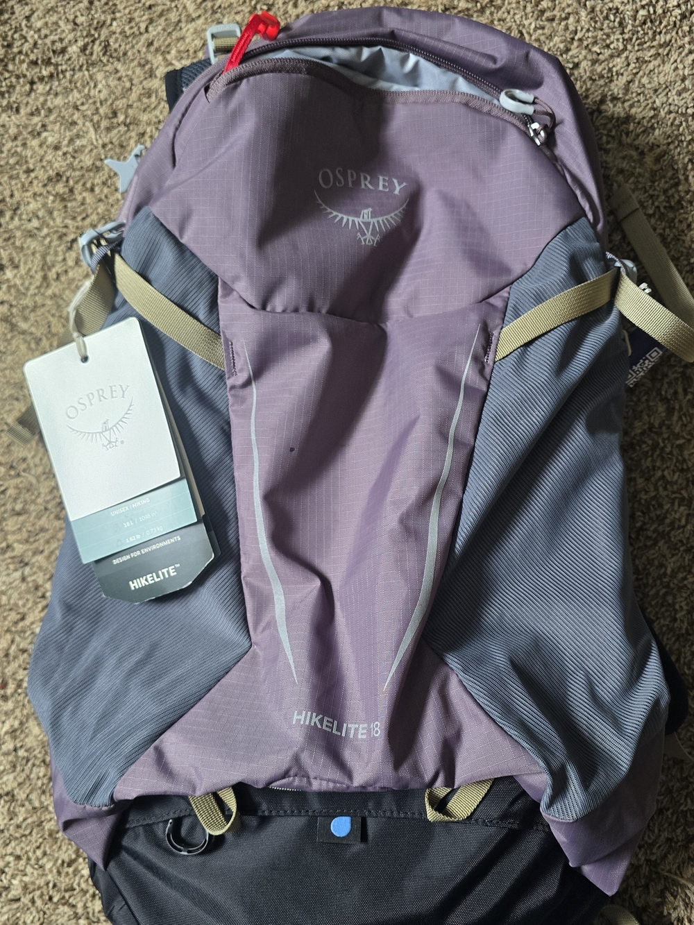 OSPREY Hikelite 18 Plum and Slate Lightweight Hiking Pack Small Spot